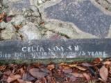 image of grave number 810176